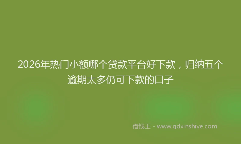 2026年热门小额哪个贷款平台好下款，归纳五个逾期太多仍可下款的口子