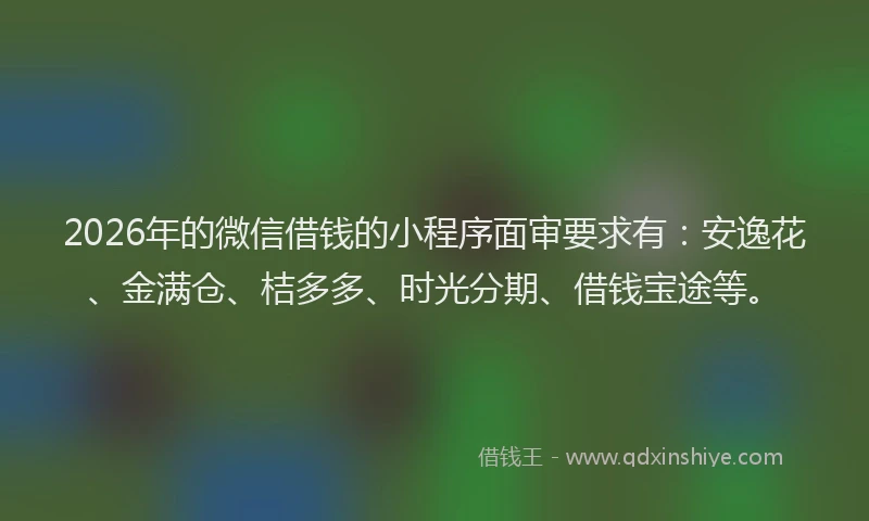 2026年的微信借钱的小程序面审要求有：安逸花、金满仓、桔多多、时光分期、借钱宝途等。