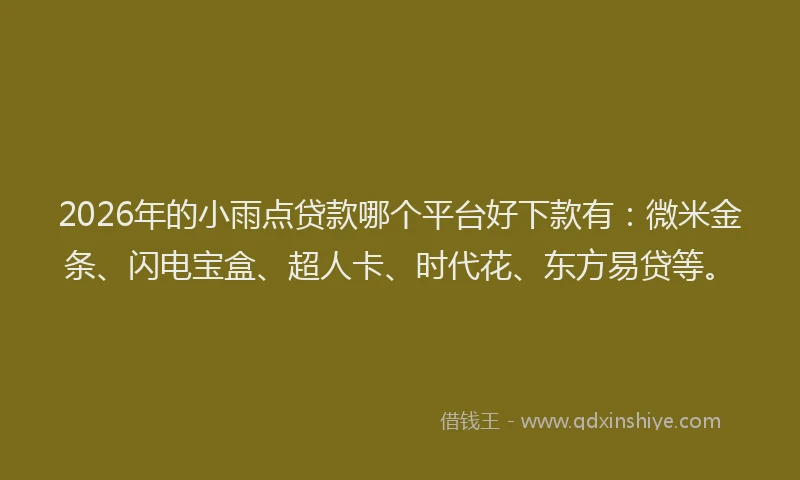 2026年的小雨点贷款哪个平台好下款有：微米金条、闪电宝盒、超人卡、时代花、东方易贷等。