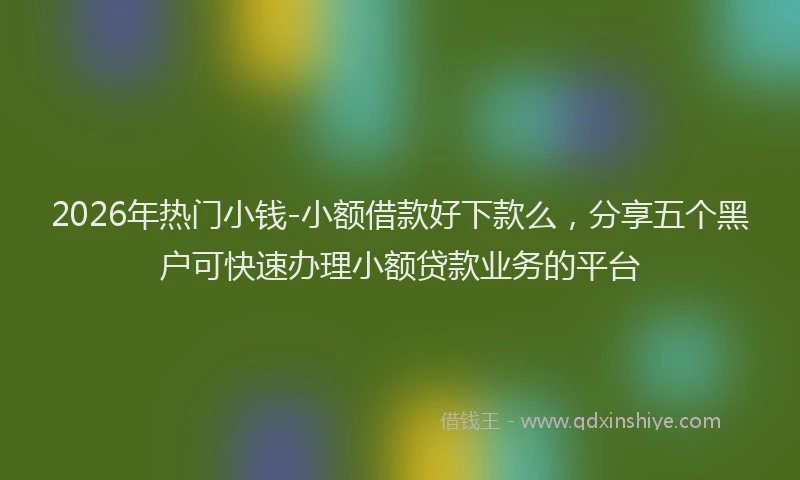 2026年热门小钱-小额借款好下款么，分享五个黑户可快速办理小额贷款业务的平台