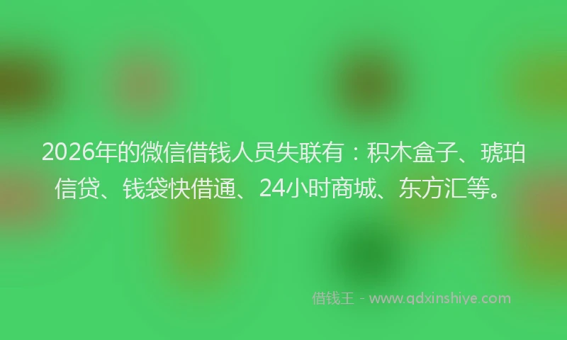 2026年的微信借钱人员失联有：积木盒子、琥珀信贷、钱袋快借通、24小时商城、东方汇等。