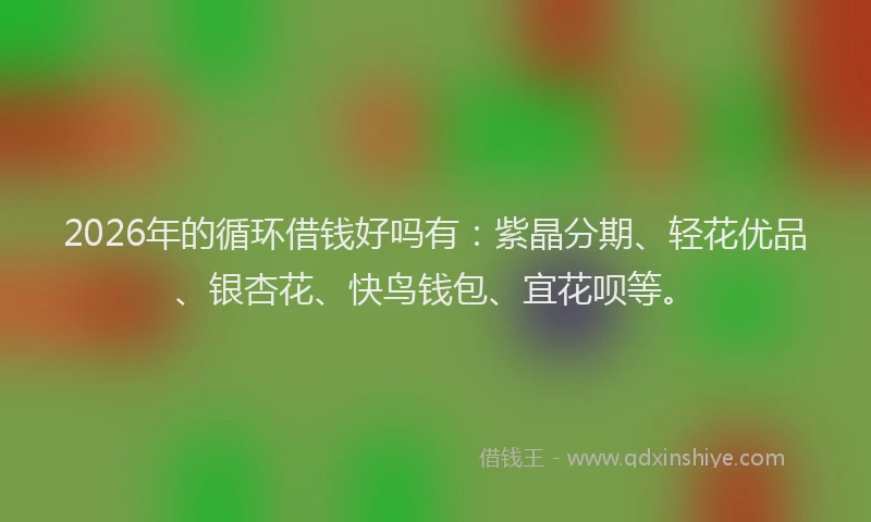 2026年的循环借钱好吗有：紫晶分期、轻花优品、银杏花、快鸟钱包、宜花呗等。