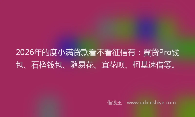 2026年的度小满贷款看不看征信有：翼贷Pro钱包、石榴钱包、随易花、宜花呗、柯基速借等。
