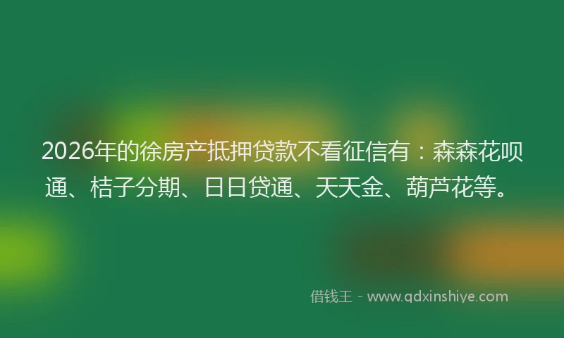2026年的徐房产抵押贷款不看征信有:森森花呗通、桔子分期、日日贷通、天天金、葫芦花等。
