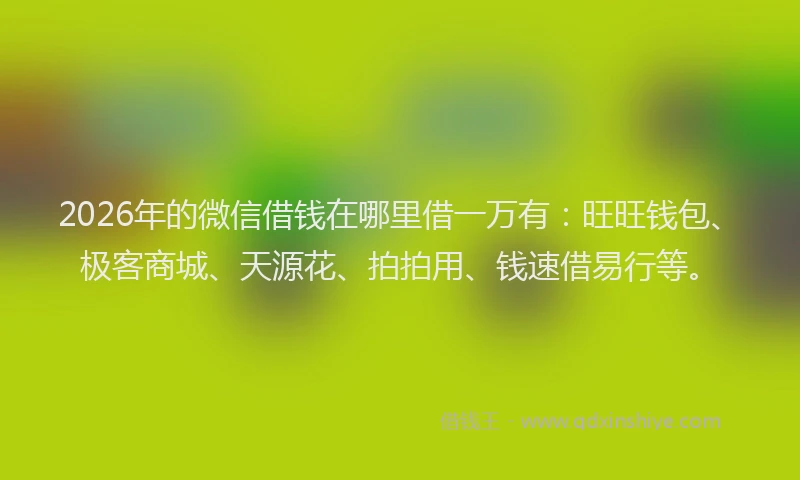 2026年的微信借钱在哪里借一万有：旺旺钱包、极客商城、天源花、拍拍用、钱速借易行等。