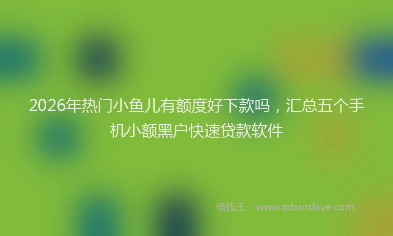 2026年热门小鱼儿有额度好下款吗,汇总五个手机小额黑户快速贷款软件