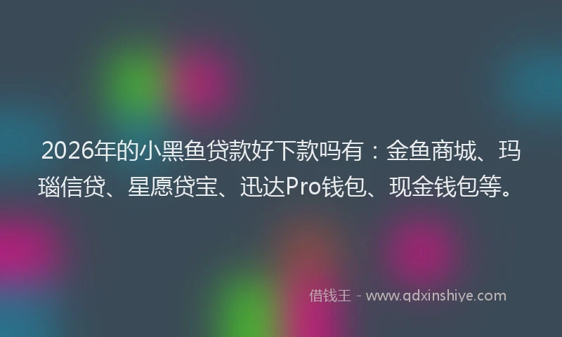 2026年的小黑鱼贷款好下款吗有：金鱼商城、玛瑙信贷、星愿贷宝、迅达Pro钱包、现金钱包等。