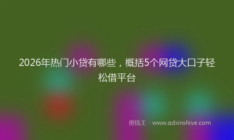 2026年热门小贷有哪些，概括5个网贷大口子轻松借平台