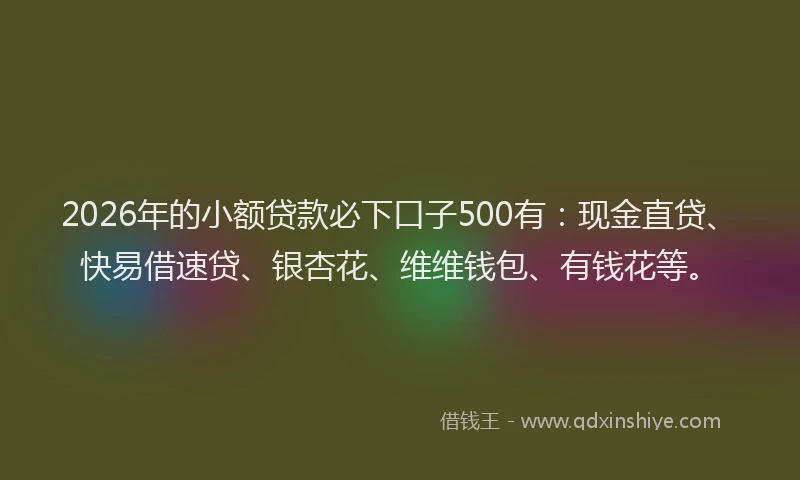 2026年的小额贷款必下口子500有：现金直贷、快易借速贷、银杏花、维维钱包、有钱花等。
