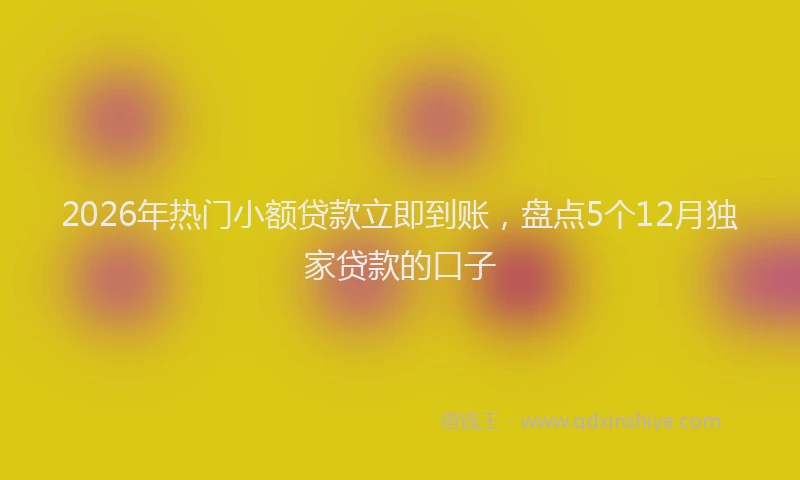 2026年热门小额贷款立即到账，盘点5个12月独家贷款的口子
