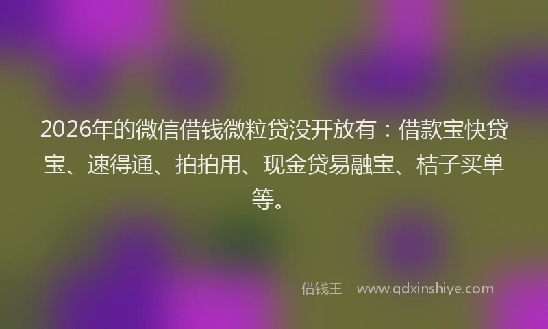 2026年的微信借钱微粒贷没开放有：借款宝快贷宝、速得通、拍拍用、现金贷易融宝、桔子买单等。