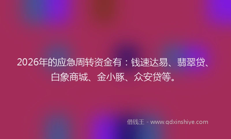 2026年的应急周转资金有：钱速达易、翡翠贷、白象商城、金小豚、众安贷等。