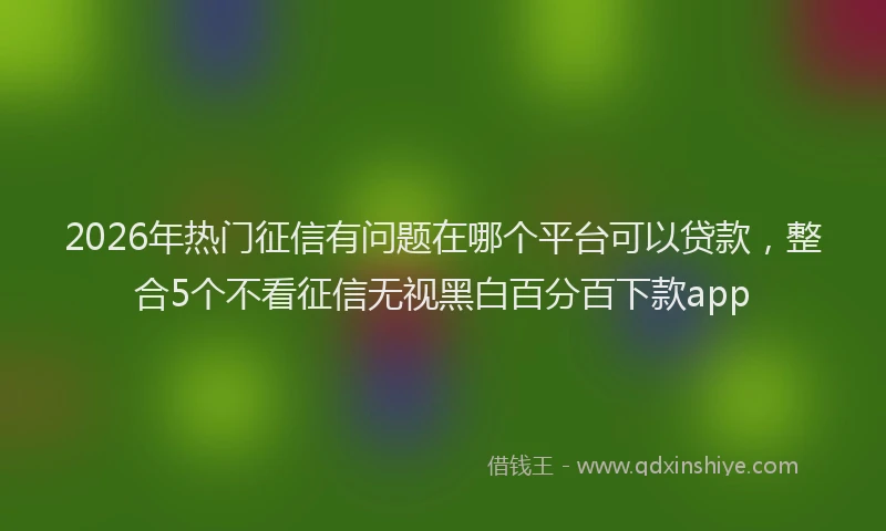 2026年热门征信有问题在哪个平台可以贷款，整合5个不看征信无视黑白百分百下款app