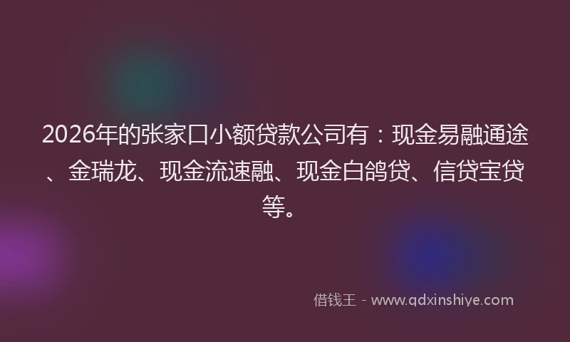 2026年的张家口小额贷款公司有：现金易融通途、金瑞龙、现金流速融、现金白鸽贷、信贷宝贷等。