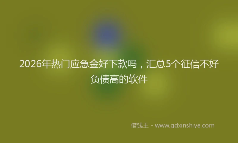 2026年热门应急金好下款吗，汇总5个征信不好负债高的软件