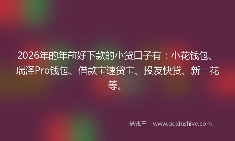 2026年的年前好下款的小贷口子有：小花钱包、瑞泽Pro钱包、借款宝速贷宝、投友快贷、新一花等。