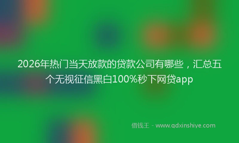 2026年热门当天放款的贷款公司有哪些，汇总五个无视征信黑白100%秒下网贷app