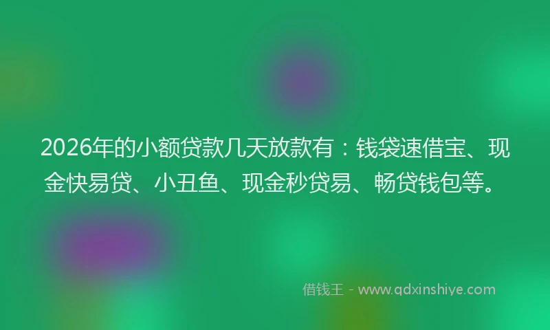2026年的小额贷款几天放款有：钱袋速借宝、现金快易贷、小丑鱼、现金秒贷易、畅贷钱包等。