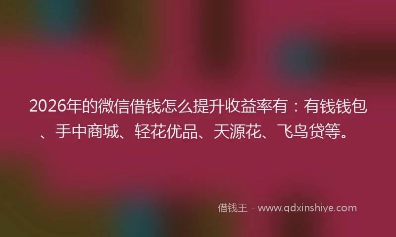 2026年的微信借钱怎么提升收益率有：有钱钱包、手中商城、轻花优品、天源花、飞鸟贷等。