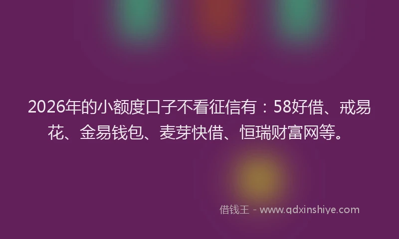 2026年的小额度口子不看征信有：58好借、戒易花、金易钱包、麦芽快借、恒瑞财富网等。