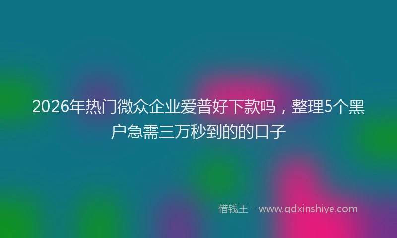 2026年热门微众企业爱普好下款吗，整理5个黑户急需三万秒到的的口子