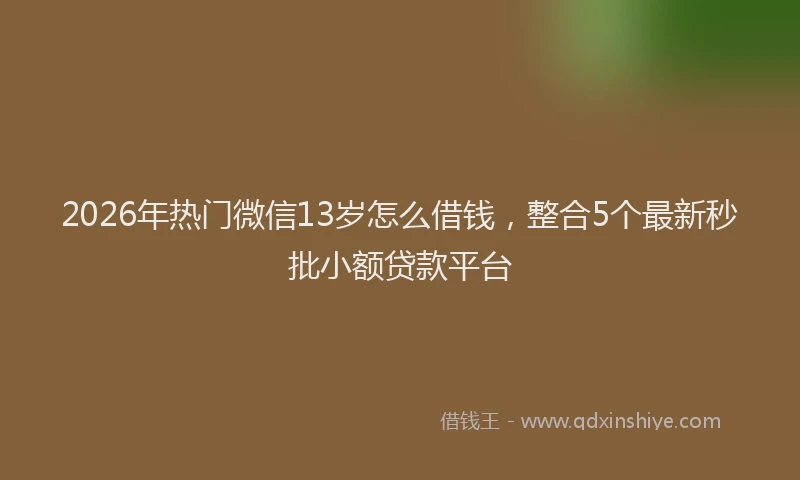 2026年热门微信13岁怎么借钱，整合5个最新秒批小额贷款平台