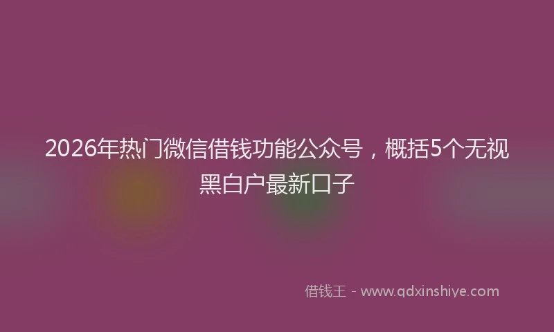 2026年热门微信借钱功能公众号，概括5个无视黑白户最新口子