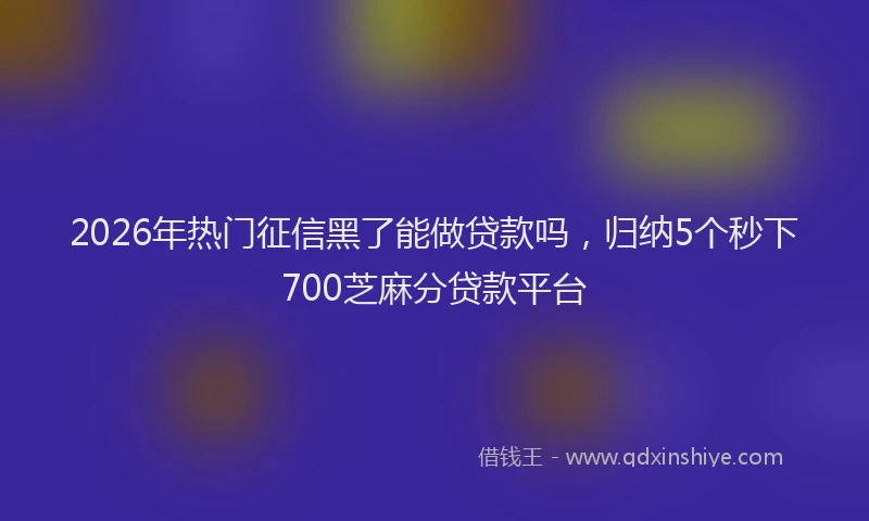 2026年热门征信黑了能做贷款吗，归纳5个秒下700芝麻分贷款平台