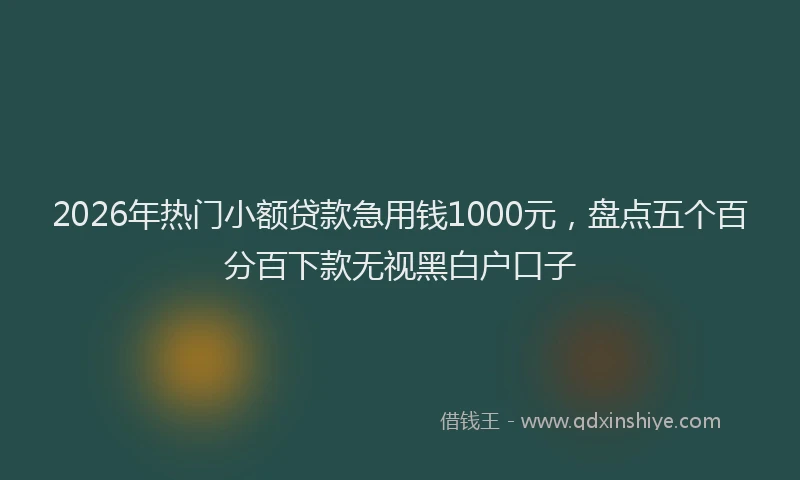 2026年热门小额贷款急用钱1000元，盘点五个百分百下款无视黑白户口子