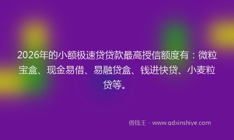 2026年的小额极速贷贷款最高授信额度有：微粒宝盒、现金易借、易融贷盒、钱进快贷、小麦粒贷等。