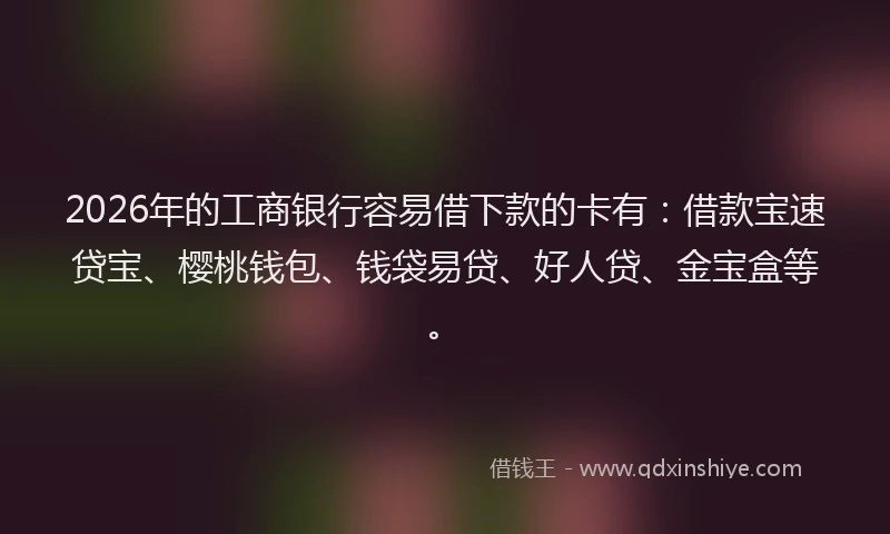 2026年的工商银行容易借下款的卡有：借款宝速贷宝、樱桃钱包、钱袋易贷、好人贷、金宝盒等。
