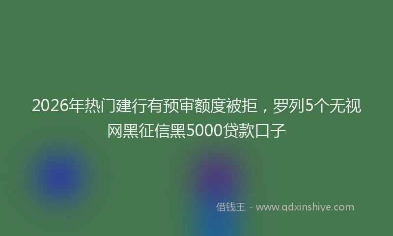 2026年热门建行有预审额度被拒，罗列5个无视网黑征信黑5000贷款口子