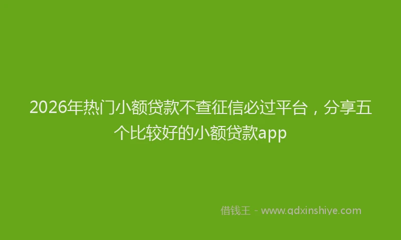 2026年热门小额贷款不查征信必过平台，分享五个比较好的小额贷款app