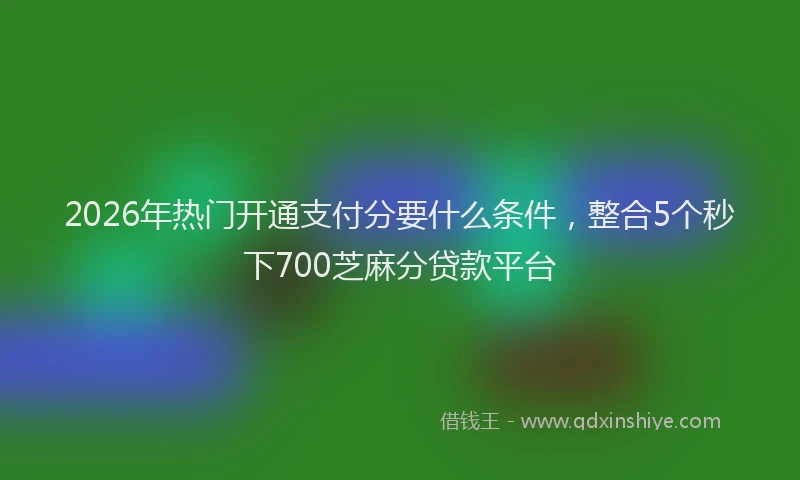2026年热门开通支付分要什么条件，整合5个秒下700芝麻分贷款平台