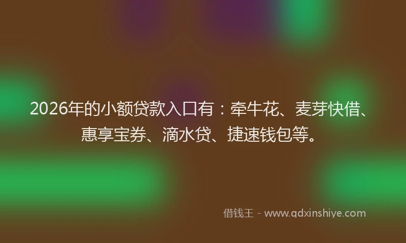 2026年的小额贷款入口有：牵牛花、麦芽快借、惠享宝券、滴水贷、捷速钱包等。