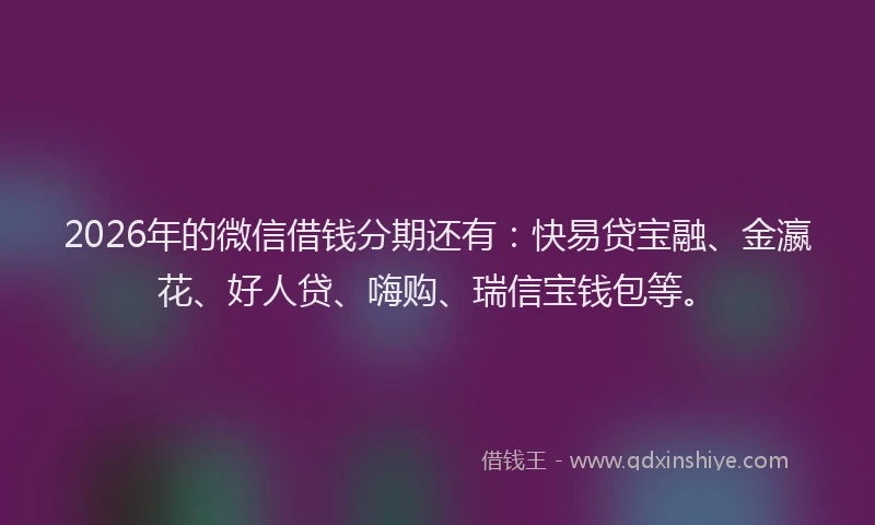 2026年的微信借钱分期还有：快易贷宝融、金瀛花、好人贷、嗨购、瑞信宝钱包等。