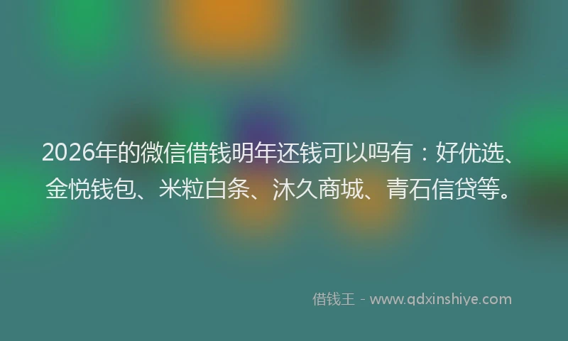 2026年的微信借钱明年还钱可以吗有：好优选、金悦钱包、米粒白条、沐久商城、青石信贷等。