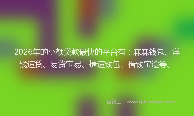 2026年的小额贷款最快的平台有：森森钱包、洋钱速贷、易贷宝易、捷速钱包、借钱宝途等。