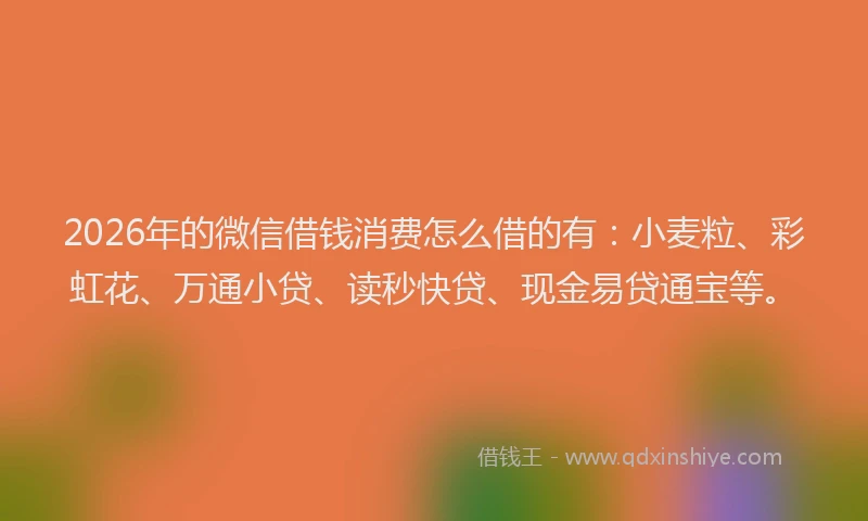 2026年的微信借钱消费怎么借的有：小麦粒、彩虹花、万通小贷、读秒快贷、现金易贷通宝等。