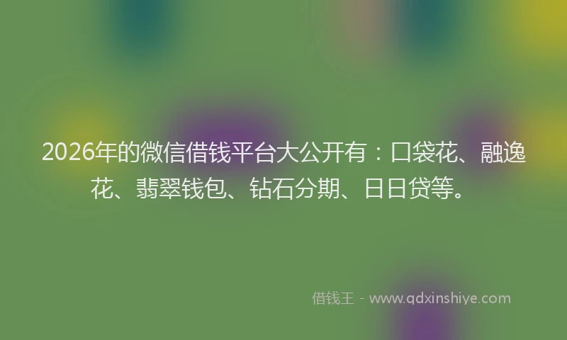 2026年的微信借钱平台大公开有：口袋花、融逸花、翡翠钱包、钻石分期、日日贷等。