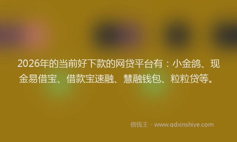 2026年的当前好下款的网贷平台有：小金鸽、现金易借宝、借款宝速融、慧融钱包、粒粒贷等。