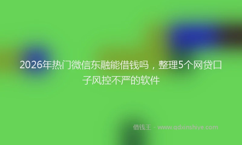 2026年热门微信东融能借钱吗，整理5个网贷口子风控不严的软件
