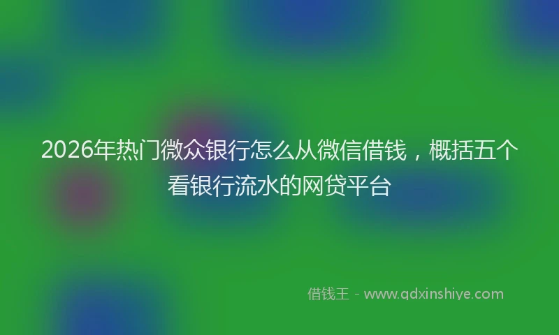2026年热门微众银行怎么从微信借钱,概括五个看银行流水的网贷平台