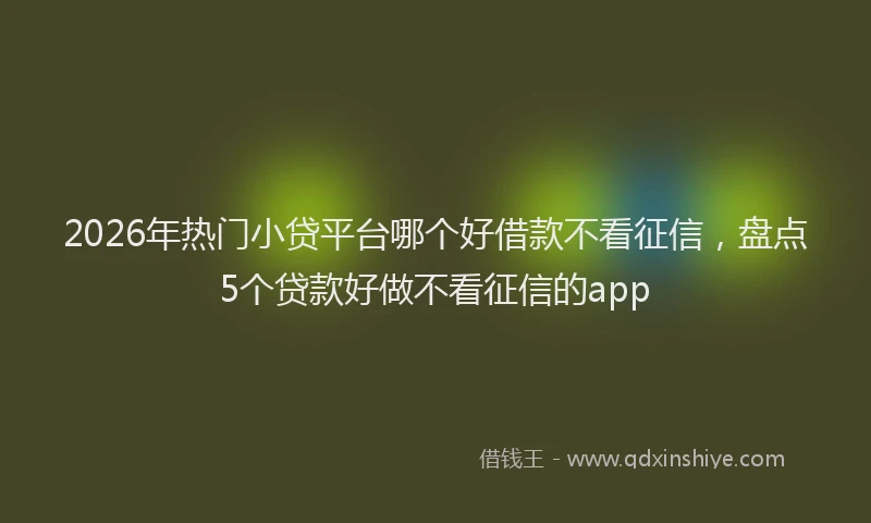 2026年热门小贷平台哪个好借款不看征信，盘点5个贷款好做不看征信的app