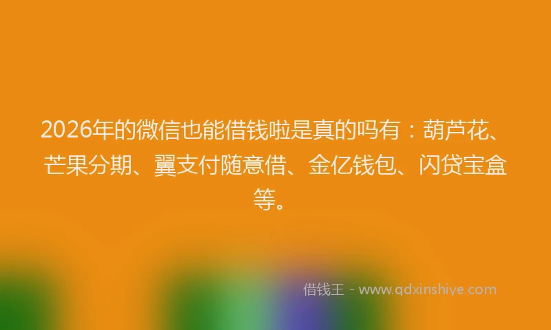 2026年的微信也能借钱啦是真的吗有：葫芦花、芒果分期、翼支付随意借、金亿钱包、闪贷宝盒等。