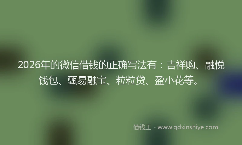 2026年的微信借钱的正确写法有：吉祥购、融悦钱包、甄易融宝、粒粒贷、盈小花等。