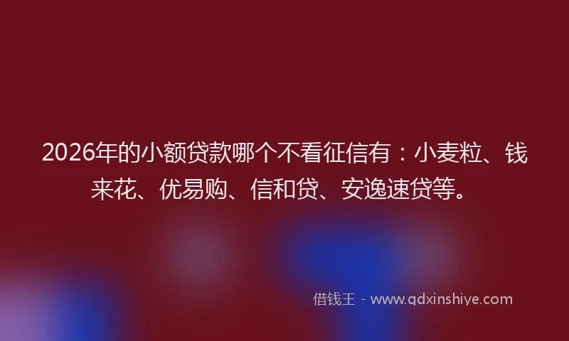 2026年的小额贷款哪个不看征信有：小麦粒、钱来花、优易购、信和贷、安逸速贷等。