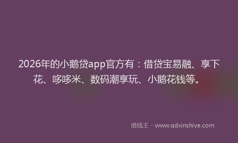 2026年的小鹅贷app官方有：借贷宝易融、享下花、哆哆米、数码潮享玩、小鹅花钱等。