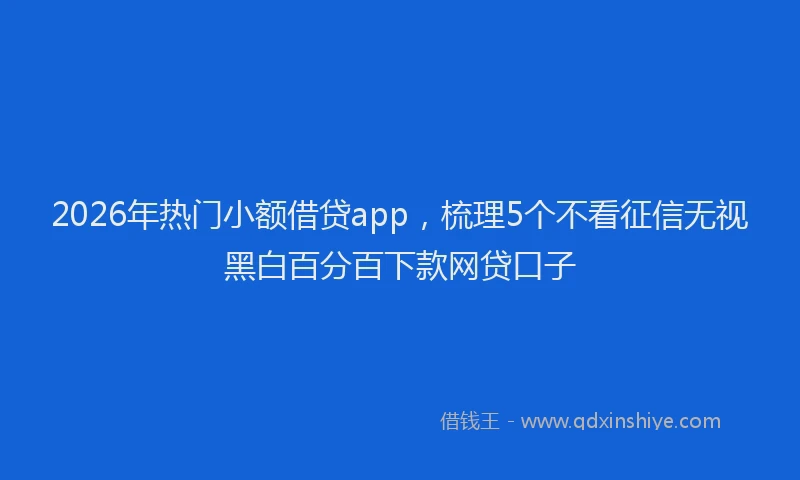 2026年热门小额借贷app，梳理5个不看征信无视黑白百分百下款网贷口子