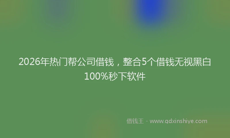 2026年热门帮公司借钱，整合5个借钱无视黑白100%秒下软件